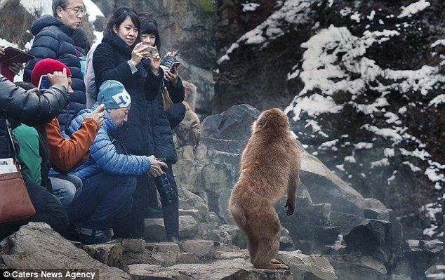 iphone-singe-photo.jpg iphone-singe-photo.jpg