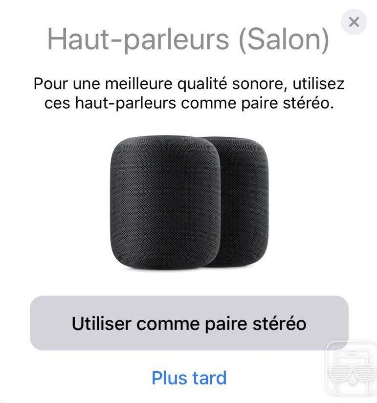 homepod paire double stereo iphonesoft mugshot 1 homepod paire double stereo iphonesoft mugshot 1