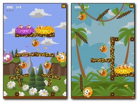 Hungry Chicks Hungry Chicks