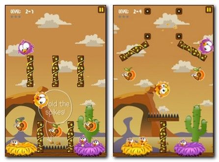 Hungry Chicks Hungry Chicks