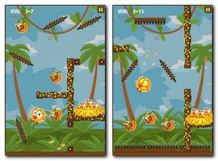 Hungry Chicks Hungry Chicks