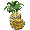 redsn0w-logo redsn0w-logo