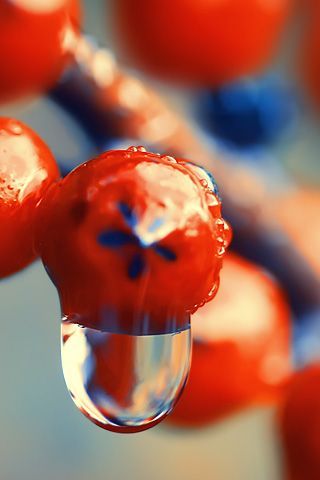 wallpapers22 wallpapers22