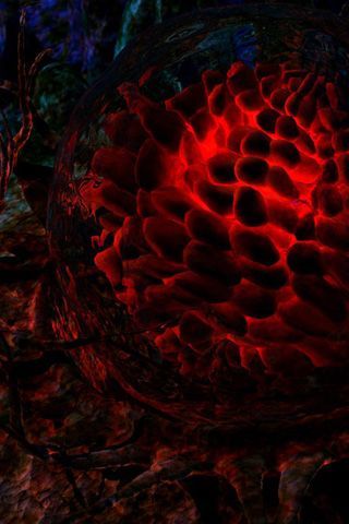 wallpapers7 wallpapers7