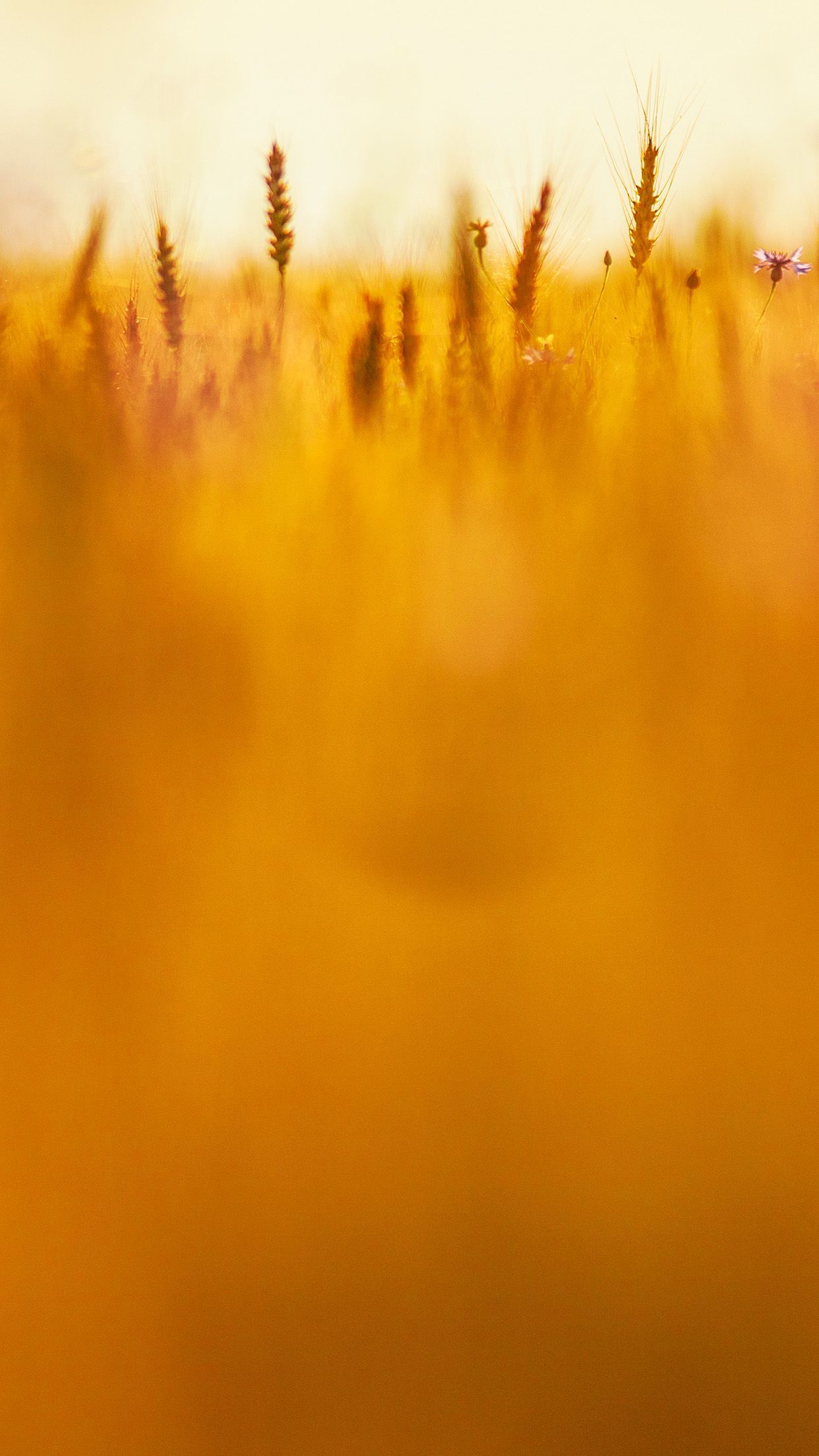 wallpaper texture pattern collection iphone wallpaper texture pattern collection iphone