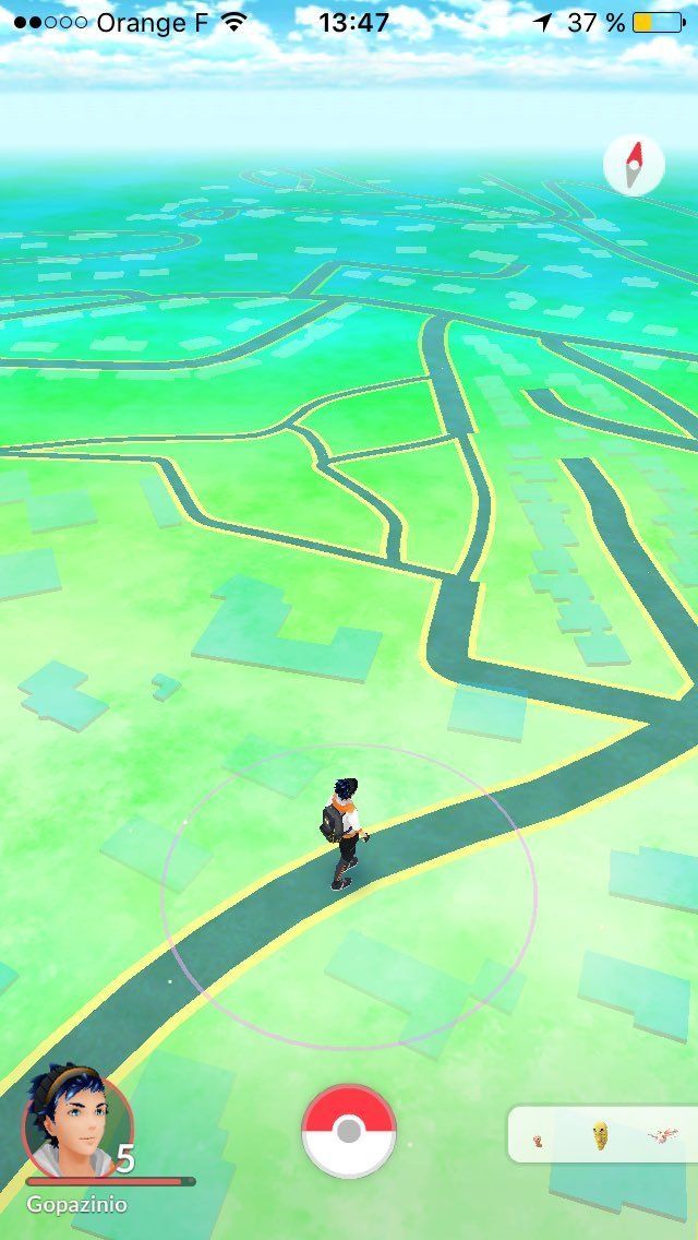 pokemon-campagne.jpg pokemon-campagne.jpg