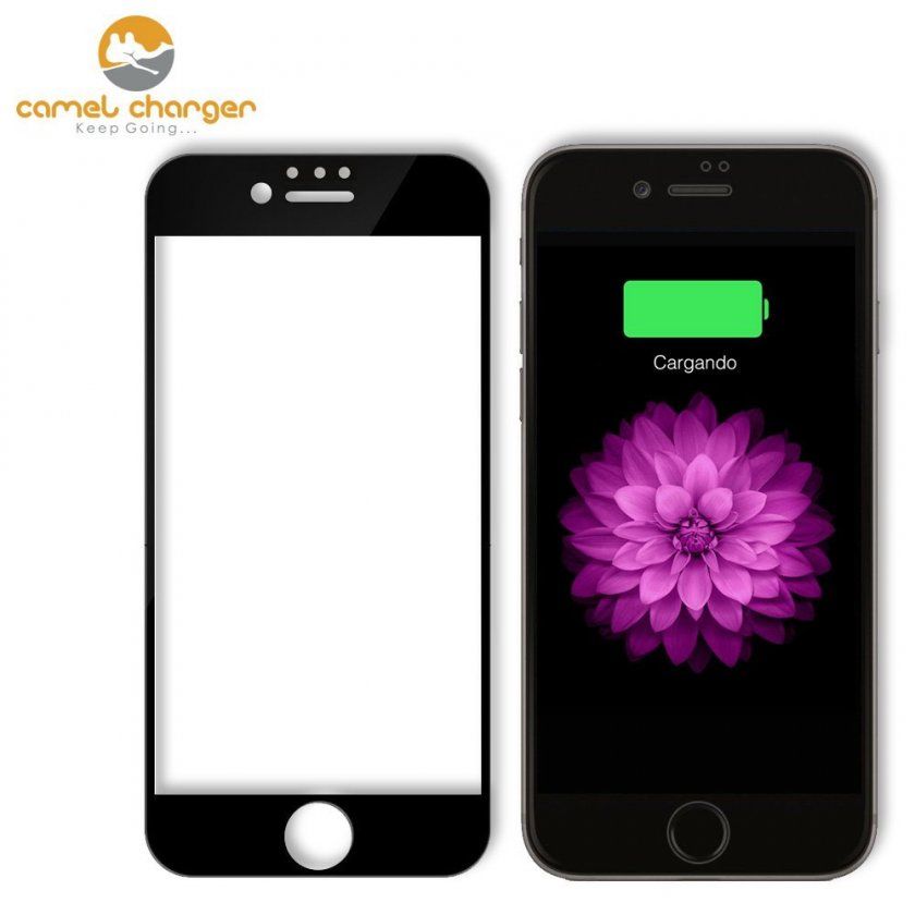 protection verre trempe iphone 7 pas cher