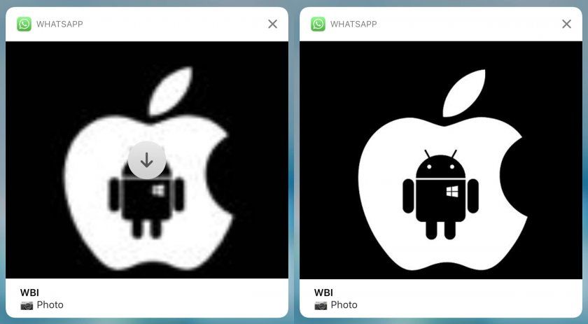 whatsapp notification whatsapp notification