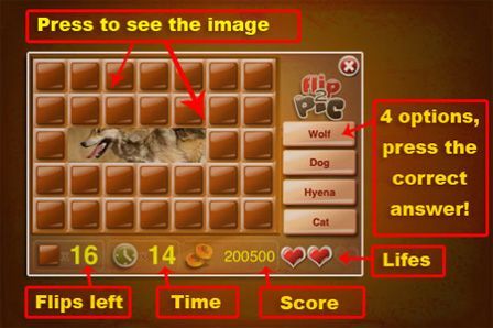 What Animal is it What Animal is it