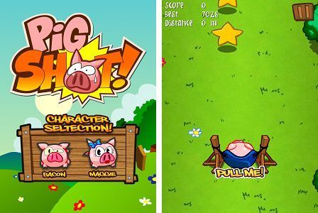 Pig shot - menu et capture en jeu
