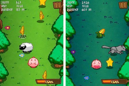 Pig Shot - Capture en jeu