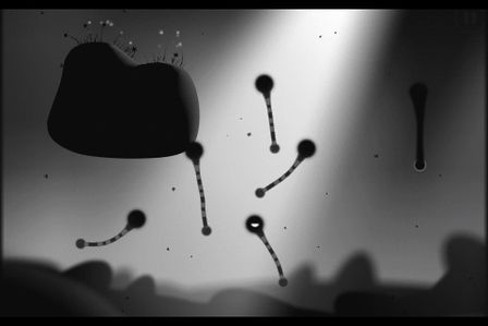 Contre Jour Contre Jour