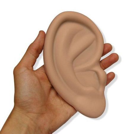 Ear Phone Case Ear Phone Case