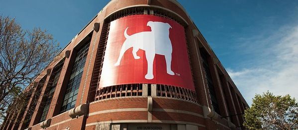 zynga zynga