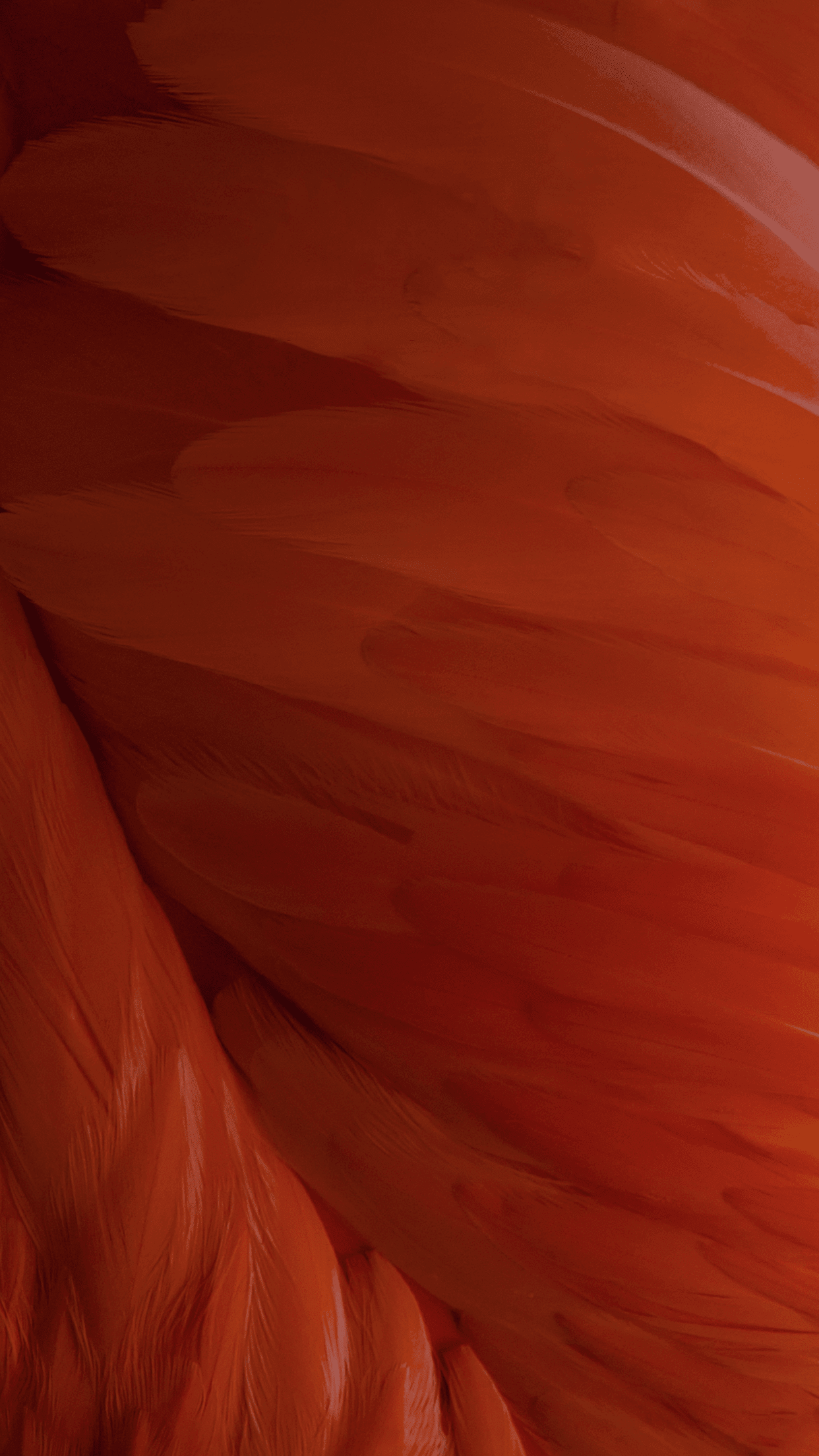 ios 9 wallpapers plume ios 9 wallpapers plume