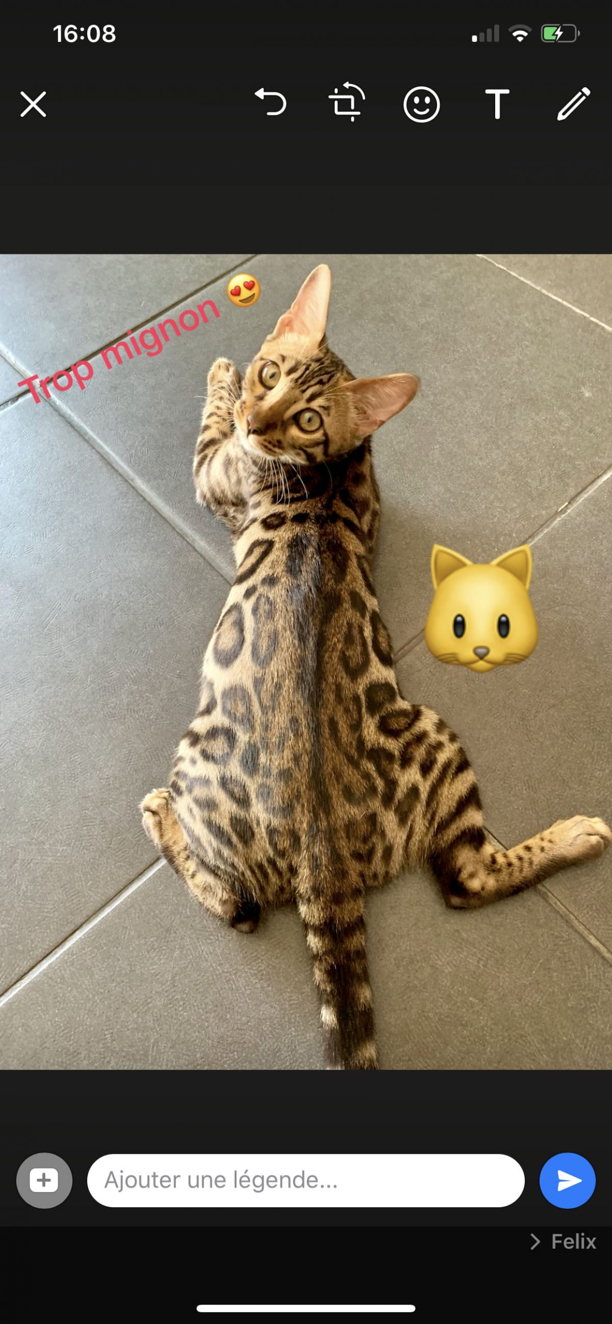 partage d image avec personnalisation whatsapp