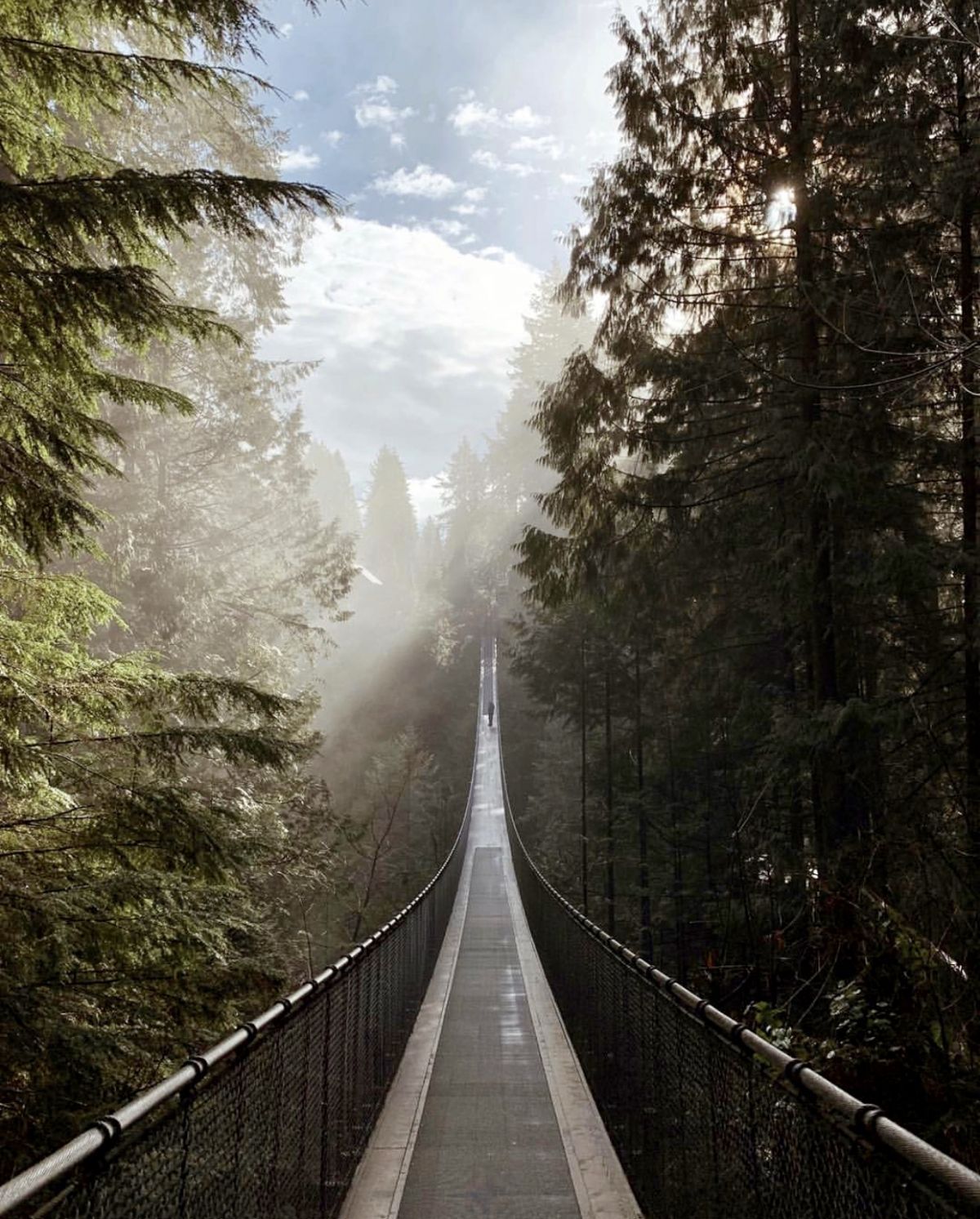 shot on iphone 1 shot on iphone 1