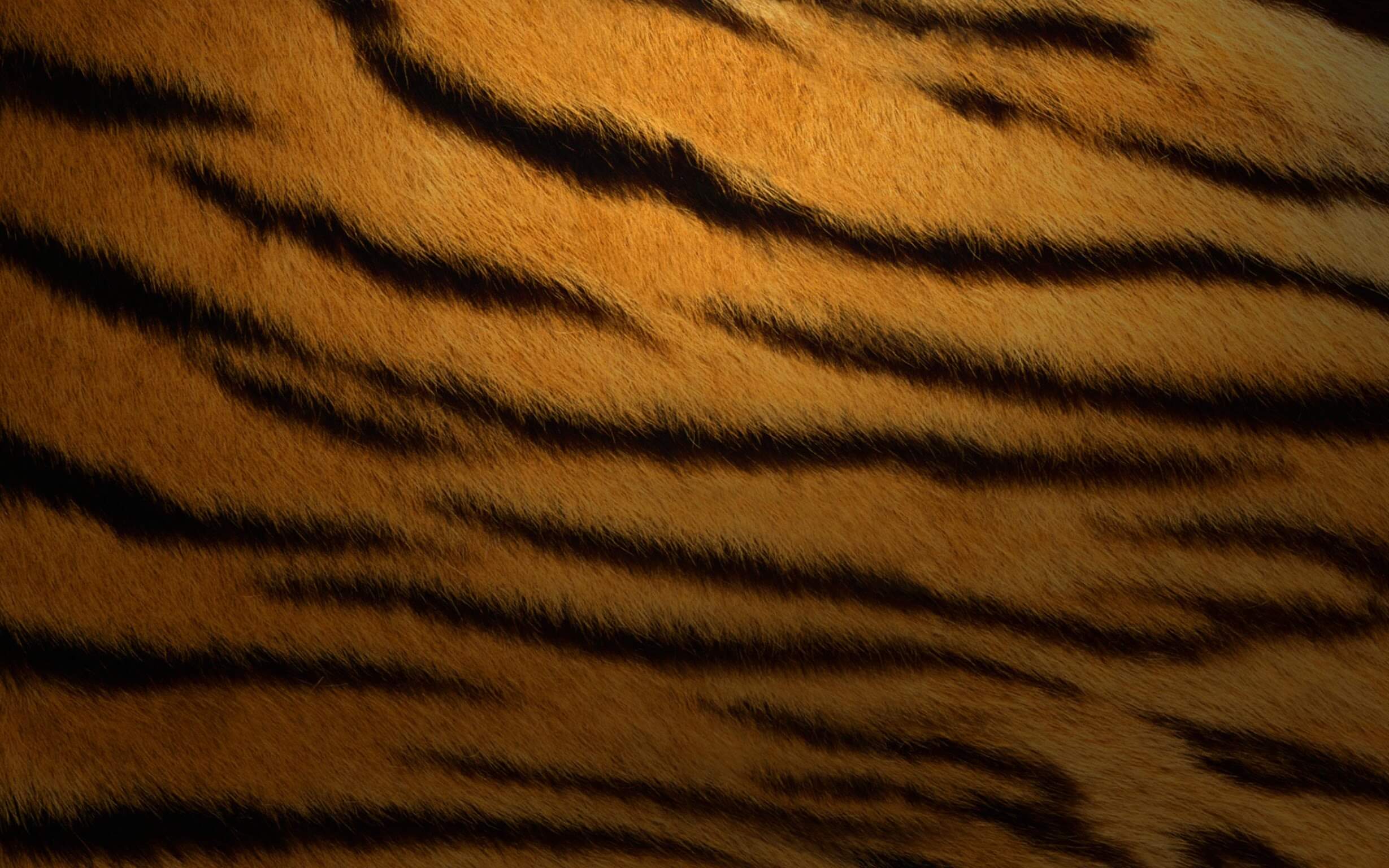 fond ecran wallpaper macos 10.4 tiger fond ecran wallpaper macos 10.4 tiger