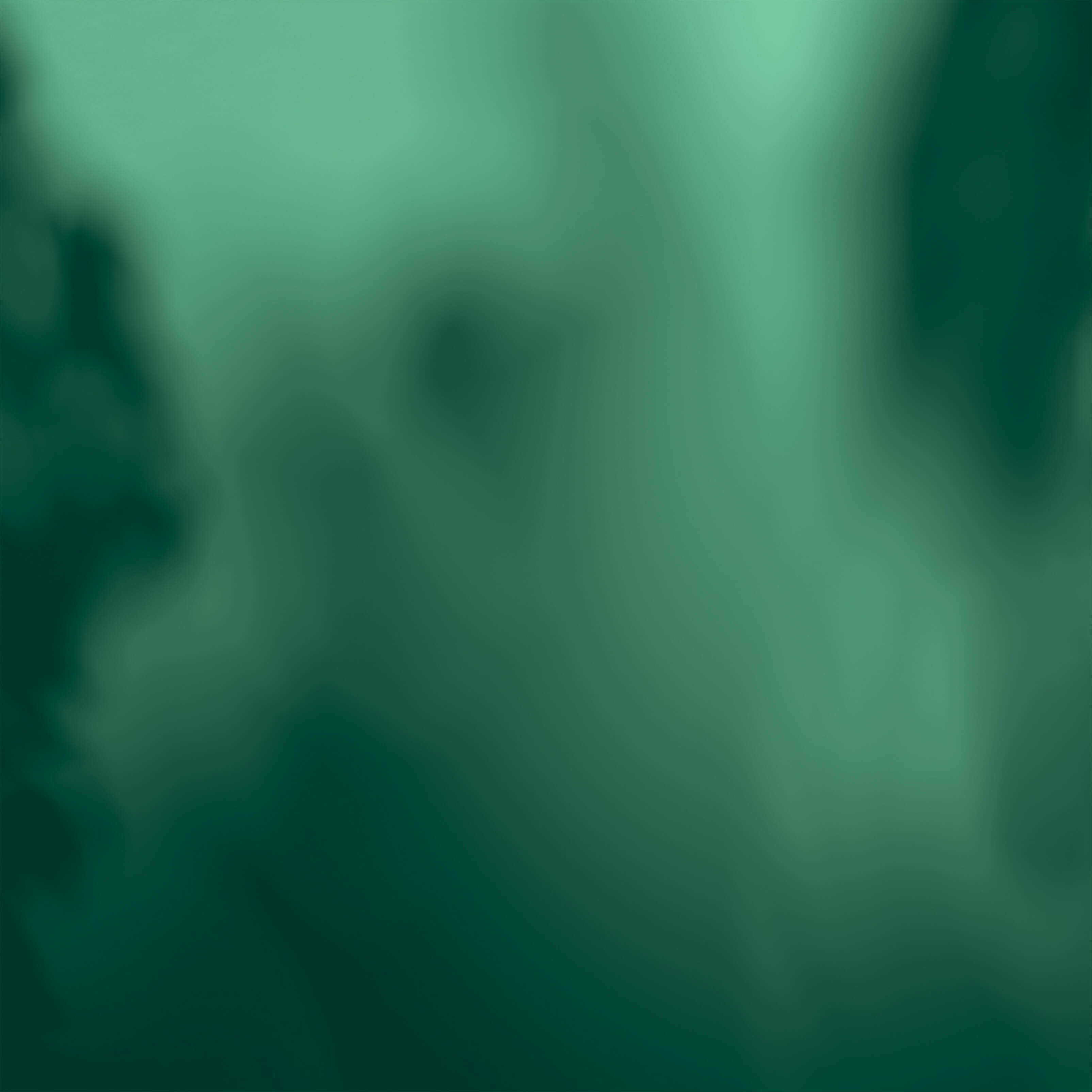 vert fonce ios 13 home app wallpaper vert fonce ios 13 home app wallpaper