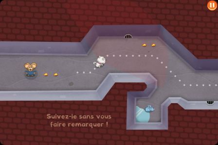 suivre le chat suivre le chat