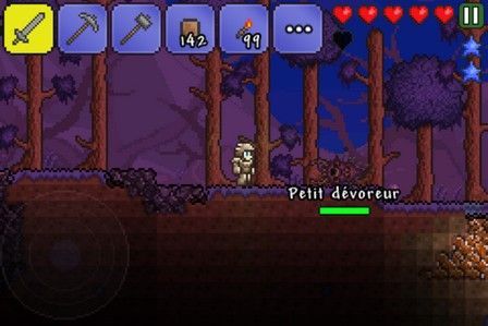 Terraria Terraria