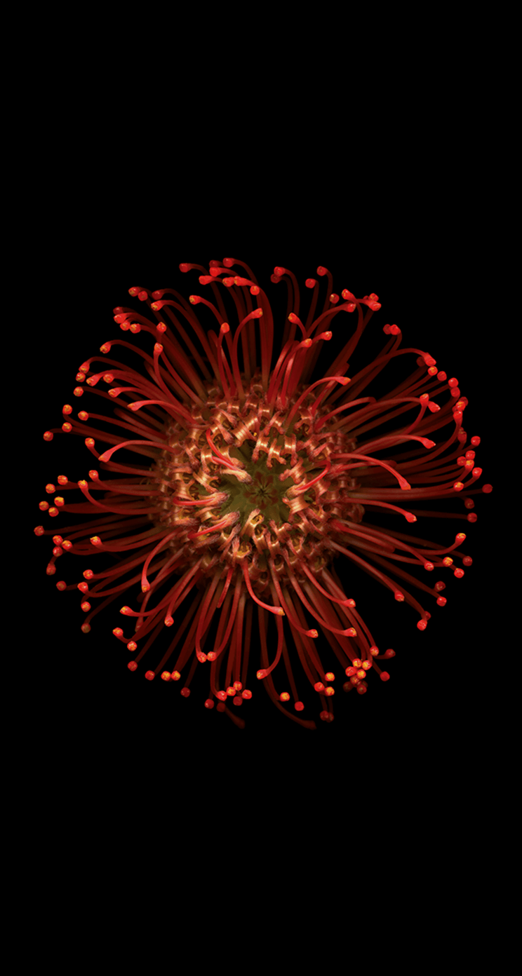 iOS 8 GM Wallpapers iOS 8 GM Wallpapers