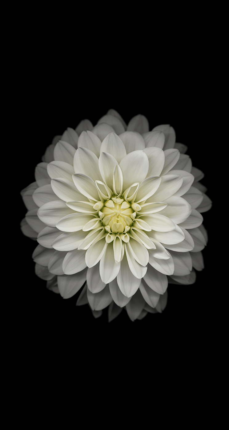 iOS 8 GM Wallpapers iOS 8 GM Wallpapers