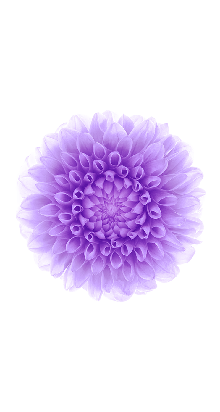 iOS 8 GM Wallpapers iOS 8 GM Wallpapers