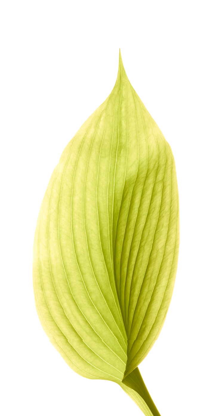 iOS 8 GM Wallpapers iOS 8 GM Wallpapers
