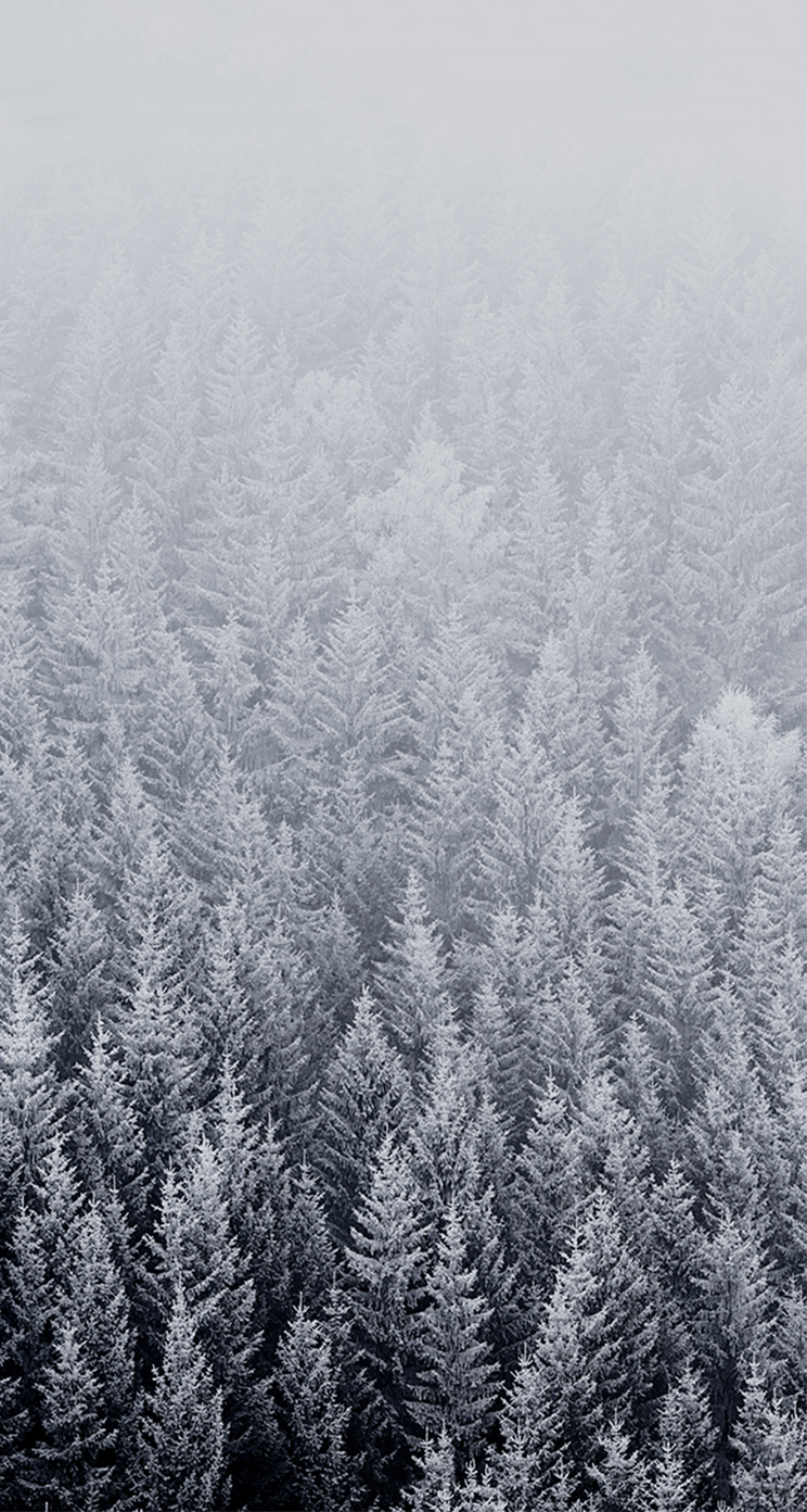 iOS 8 GM Wallpapers iOS 8 GM Wallpapers