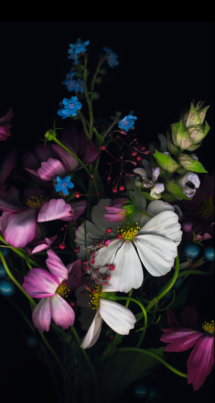 iOS 8 GM Wallpapers iOS 8 GM Wallpapers