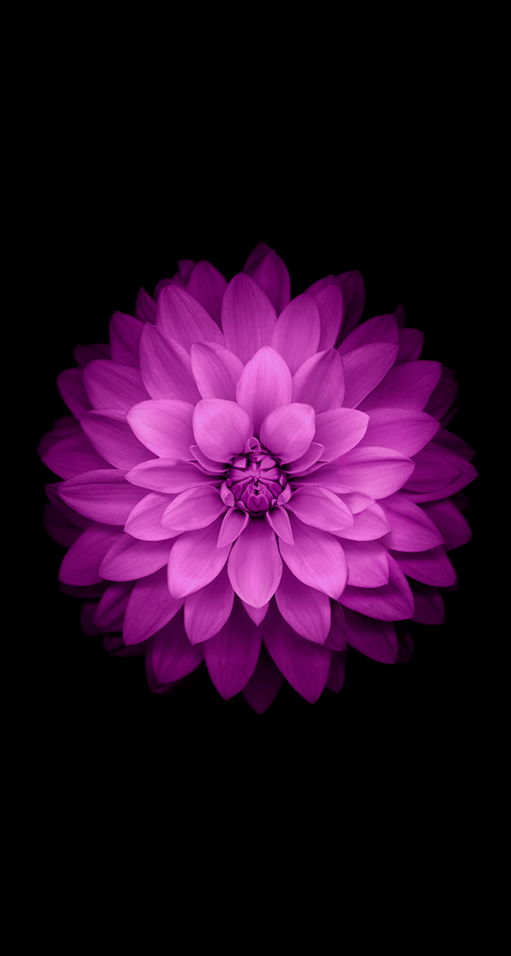 iOS 8 GM Wallpapers iOS 8 GM Wallpapers