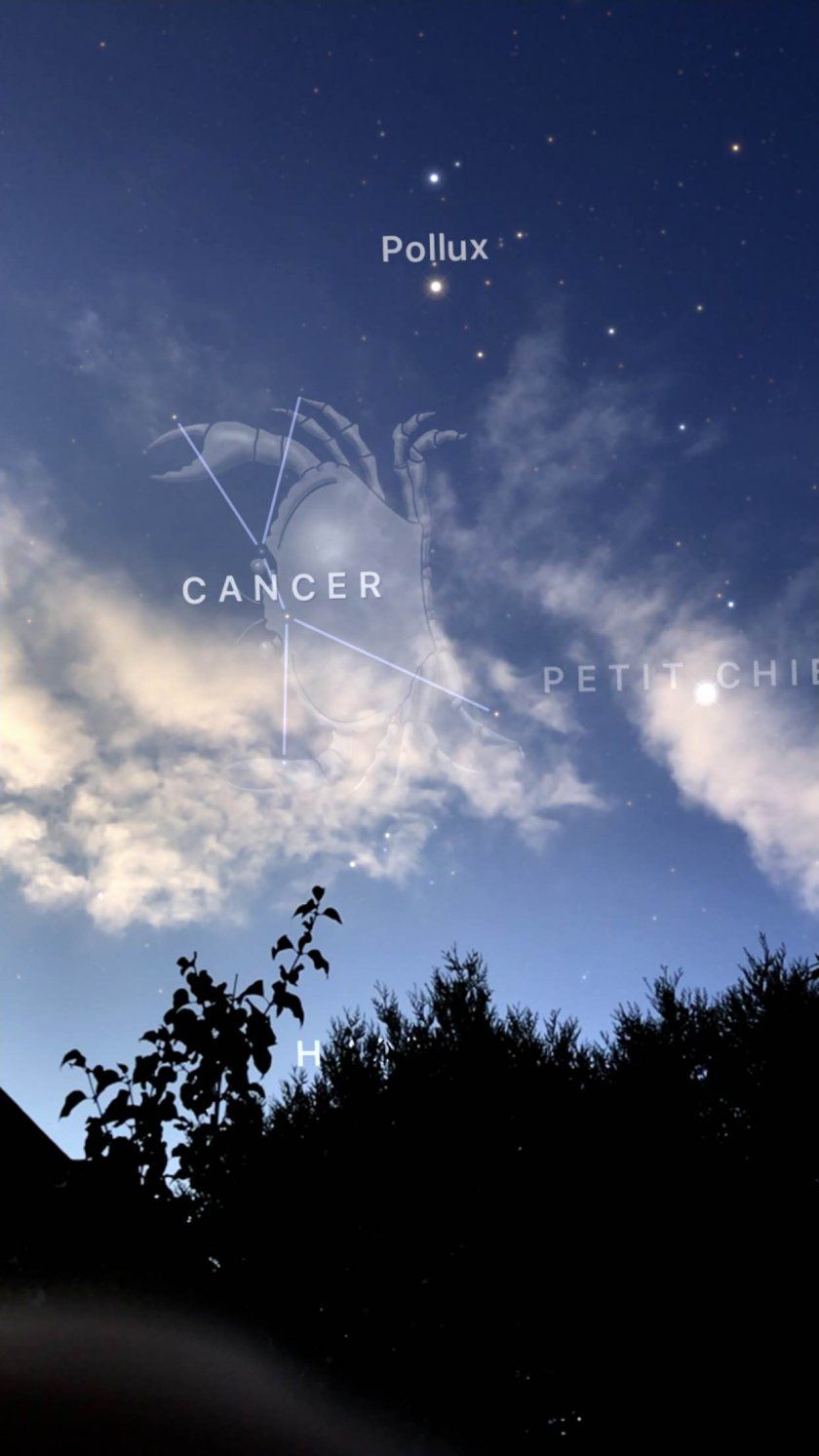 cancer ios app arkit