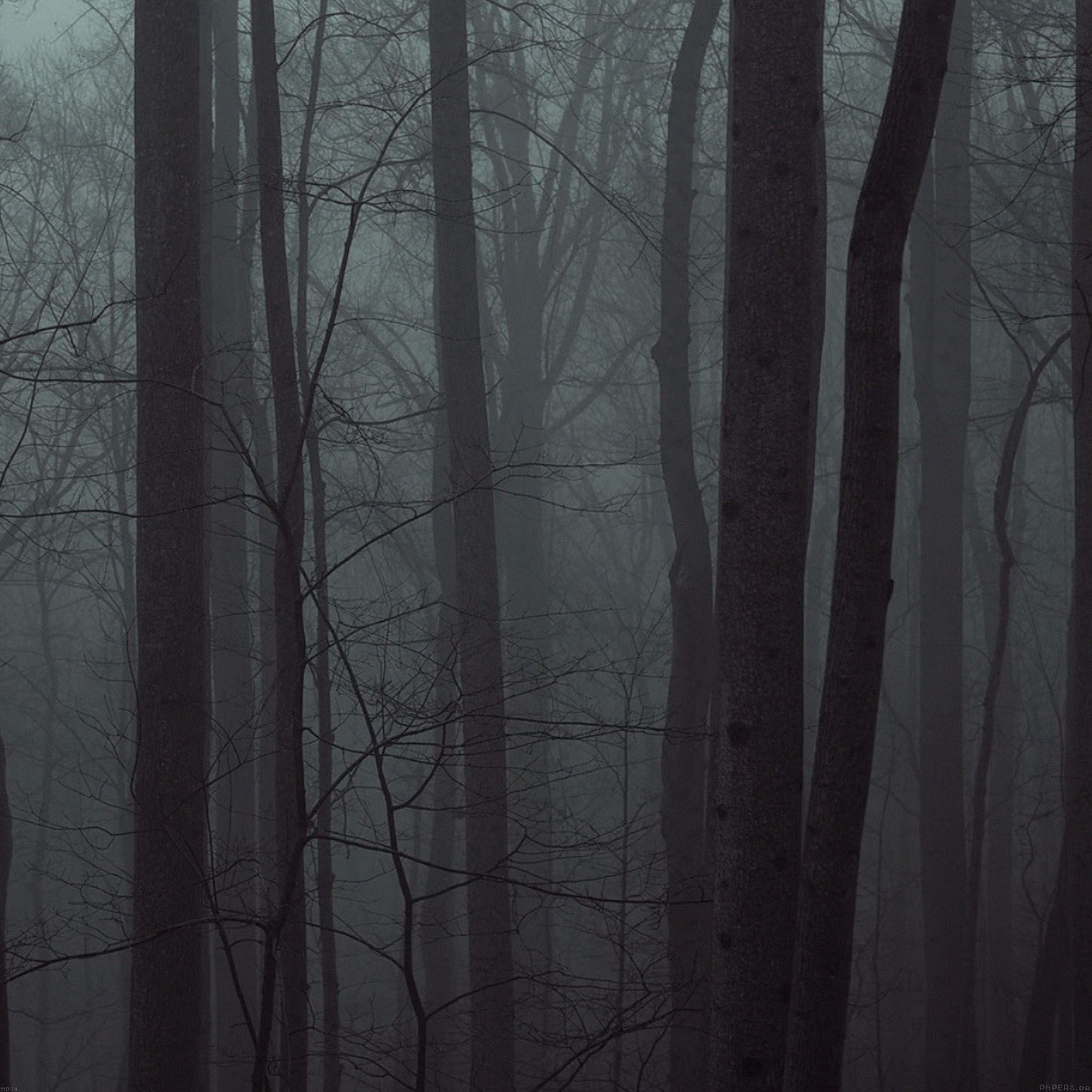 foret ipad foret ipad