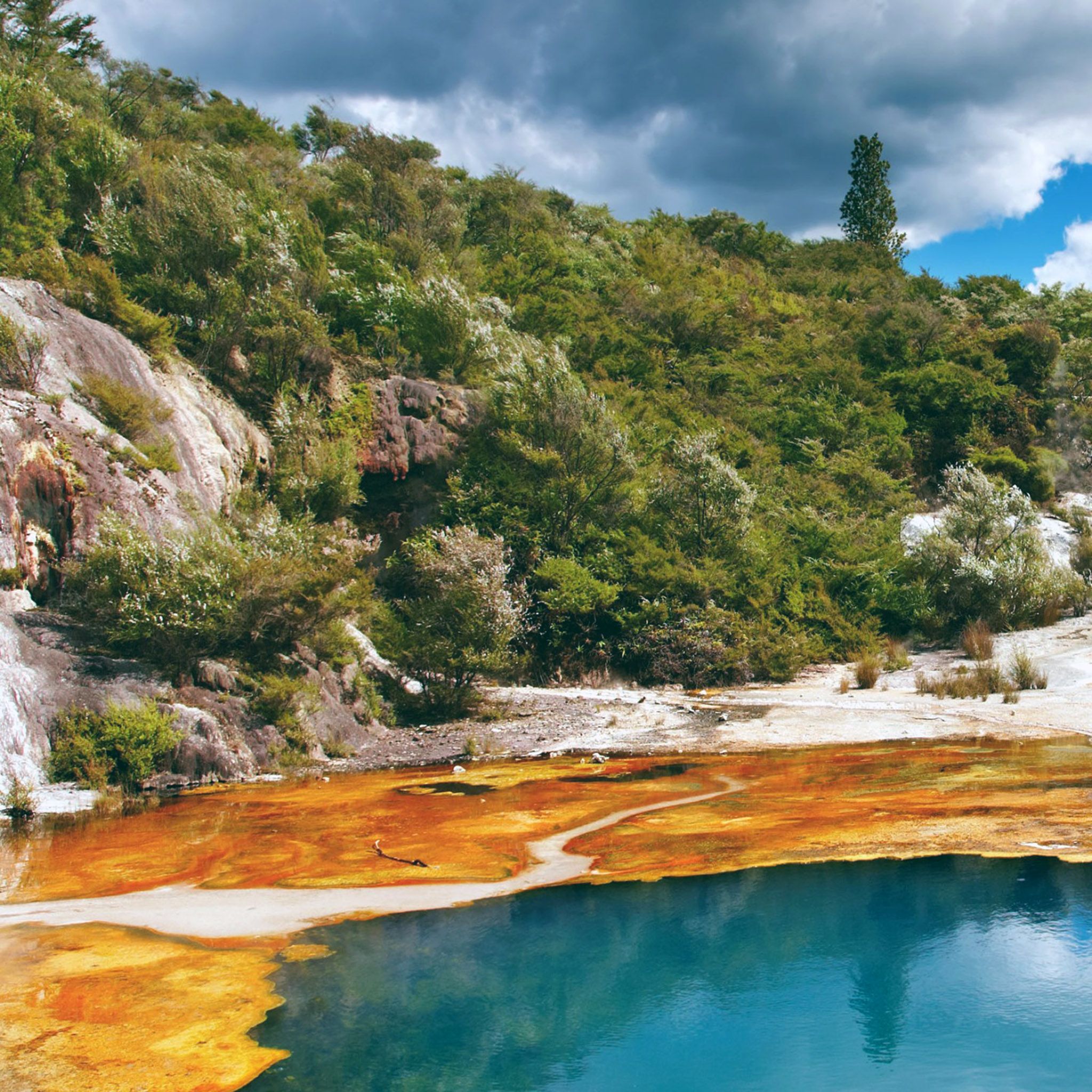 foret ipad foret ipad