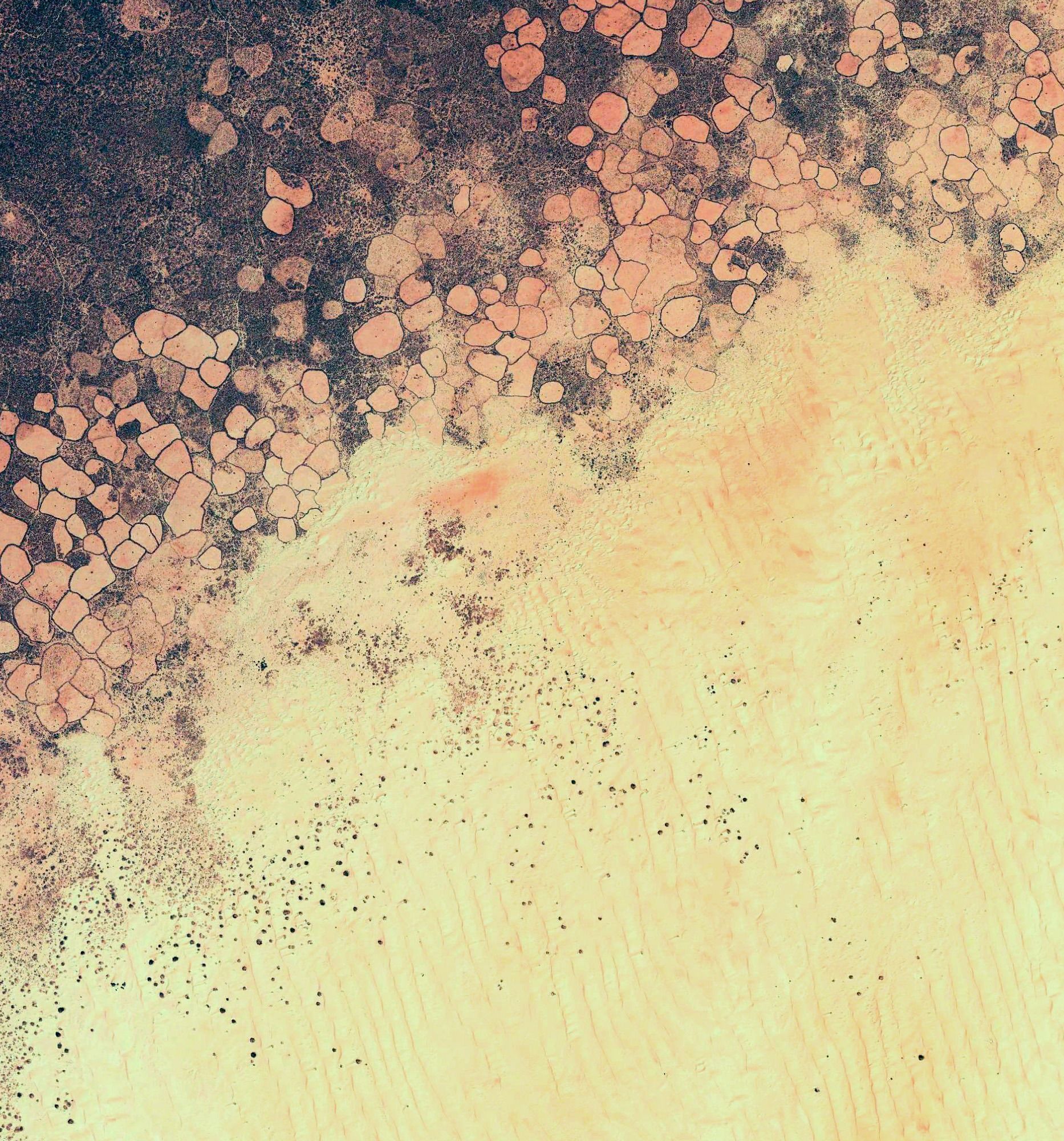 iphone 6 ipod lollipop wallpaper