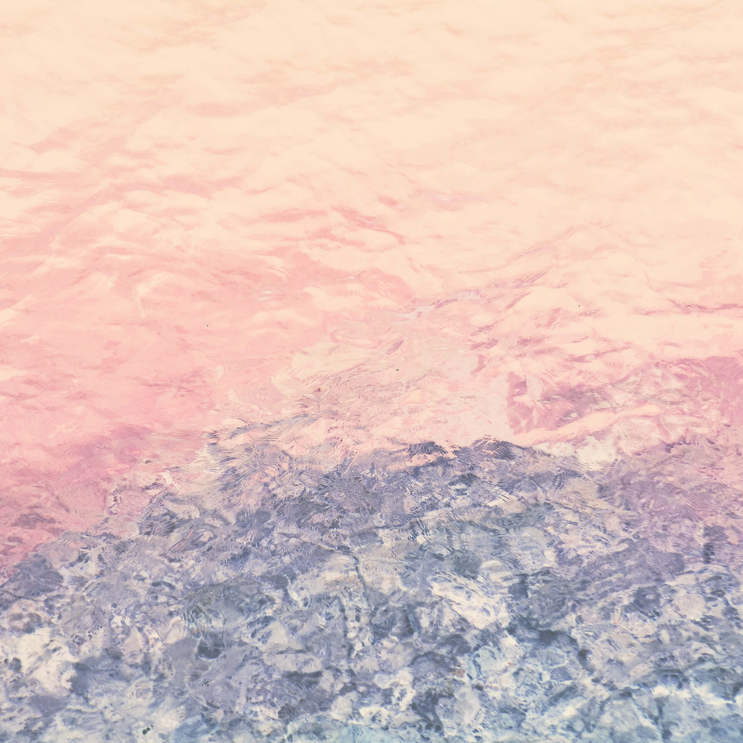 wallpaper nature et decouverte 1 ipad retina