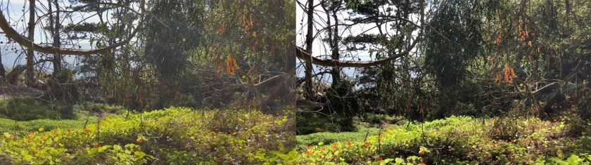 comparo iphone note un deux trois