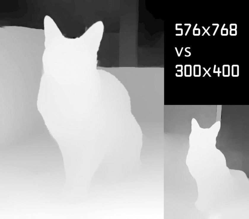 image mode portrait animaux xr halide image mode portrait animaux xr halide