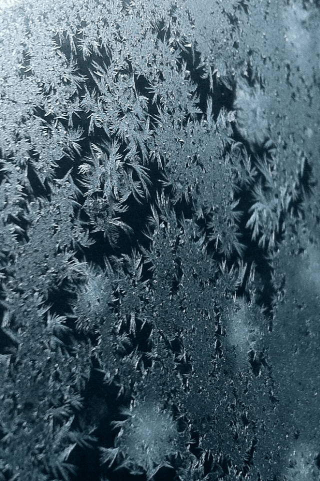 wallpapers7 wallpapers7