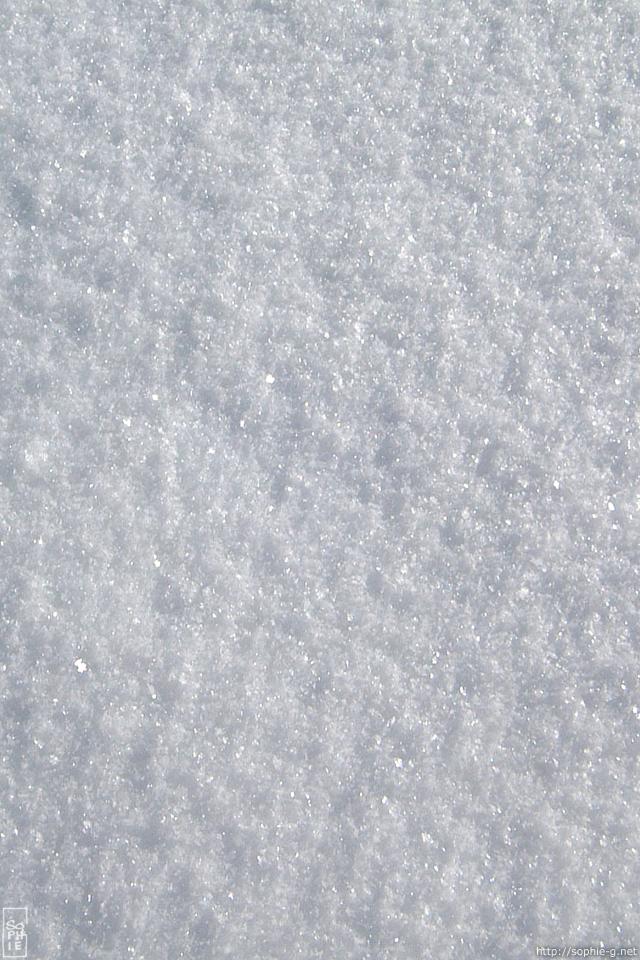 wallpapers8 wallpapers8