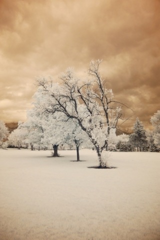 wallpapers3 wallpapers3