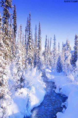 wallpapers4 wallpapers4