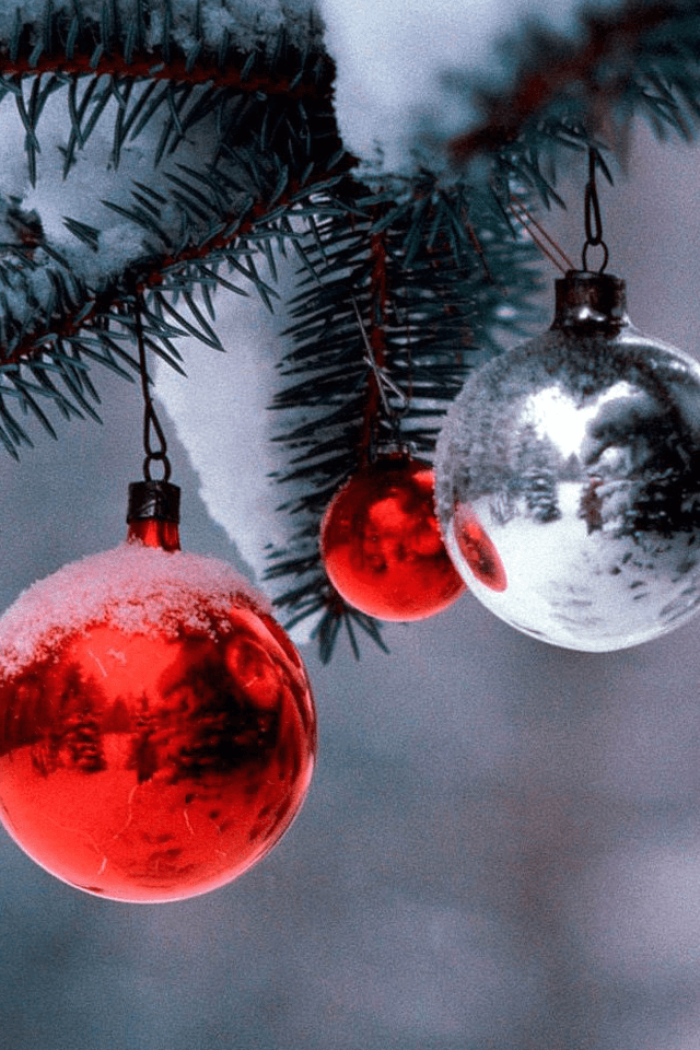 wallpapers9 wallpapers9