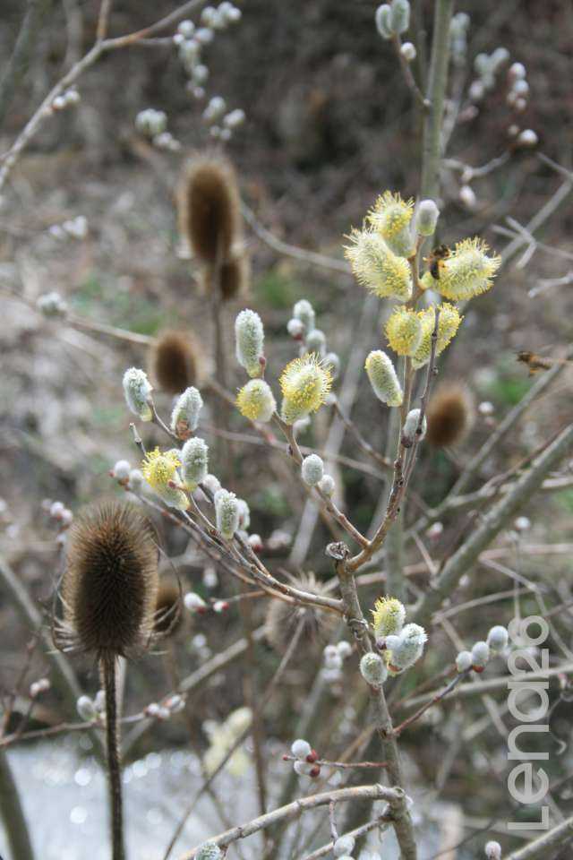 wallpapers10 wallpapers10