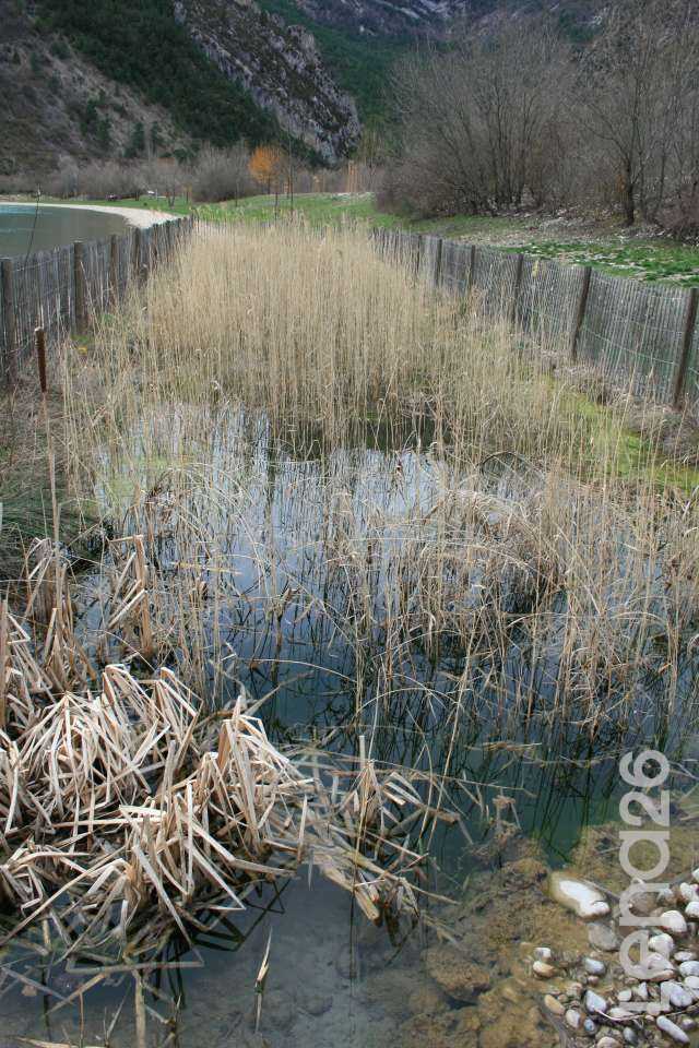 wallpapers11 wallpapers11