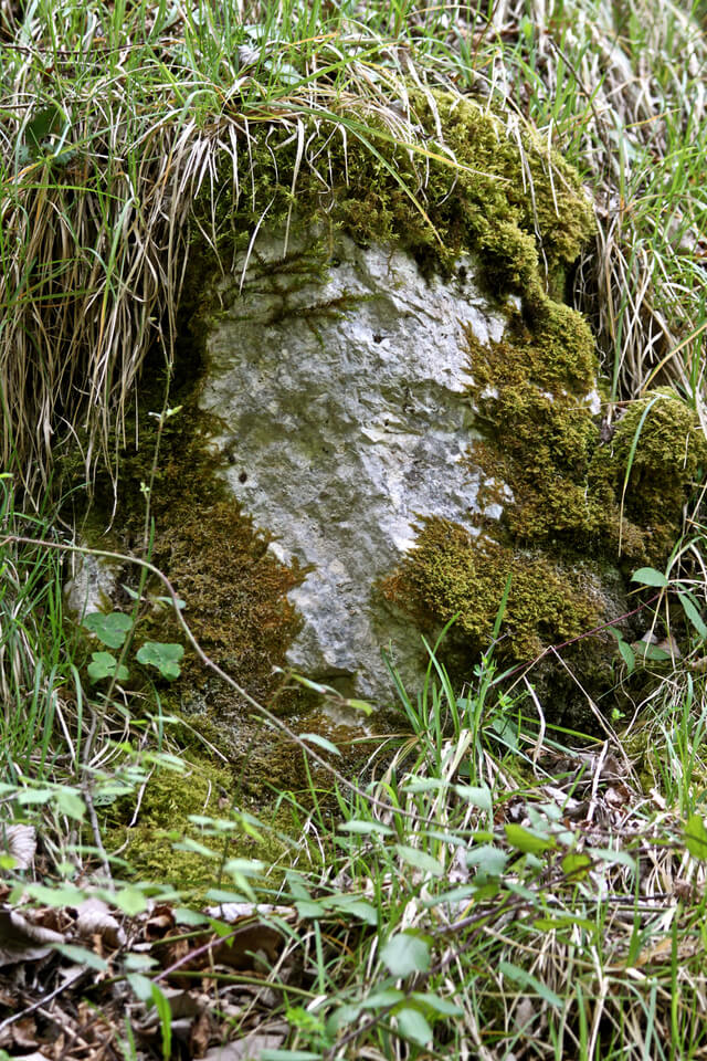 wallpapers12 wallpapers12