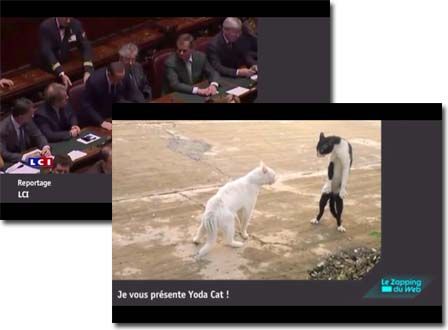 Zapping : un concentré de vidéos dans votre poche !