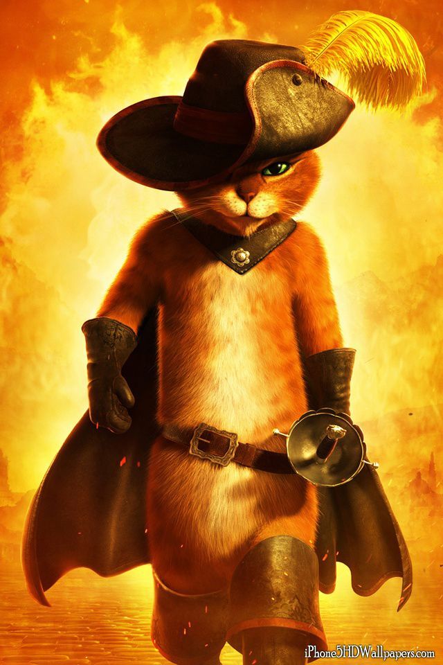 wallpaper wallpaper