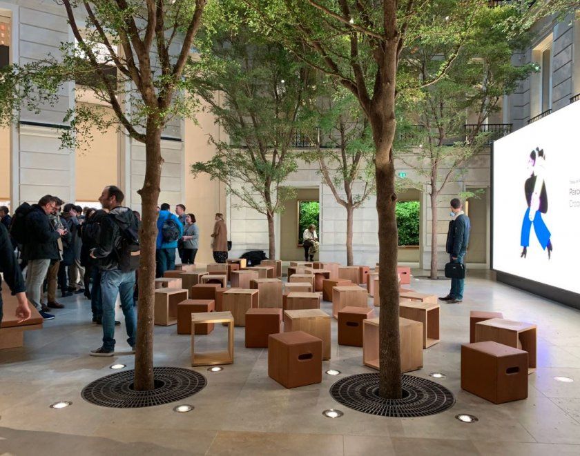 arbre store apple arbre store apple